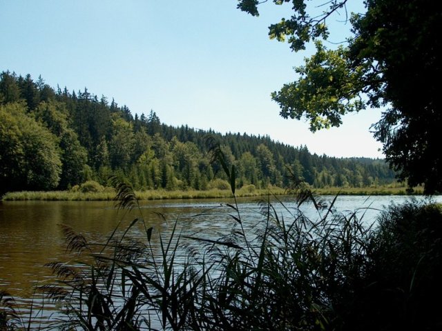Deininger Weiher 07